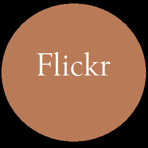 flickr button